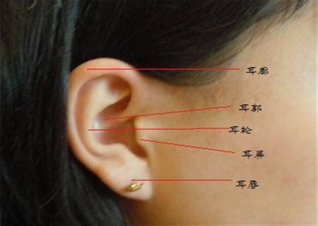 耳背有痣代表什麼